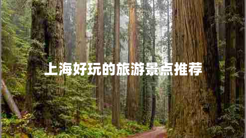 上海好玩的旅游景點推薦