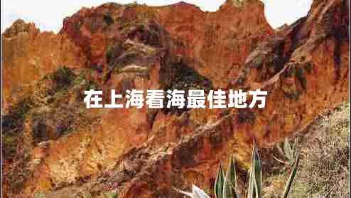 在上?？春Ｗ罴训胤? title=