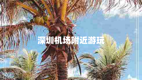 深圳機(jī)場附近游玩