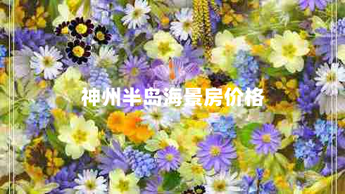 神州半島海景房?jī)r(jià)格