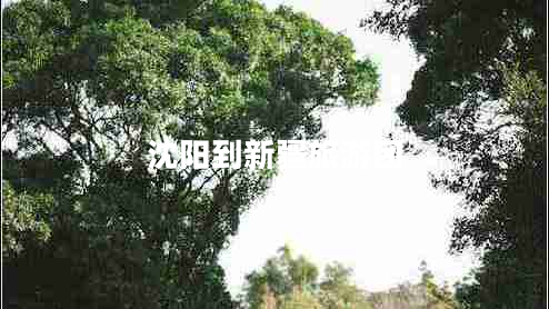 沈陽到新疆旅游團(tuán)