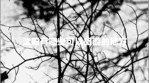 沈陽有哪些可以旅游的地方