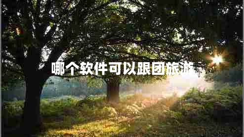哪個(gè)軟件可以跟團(tuán)旅游