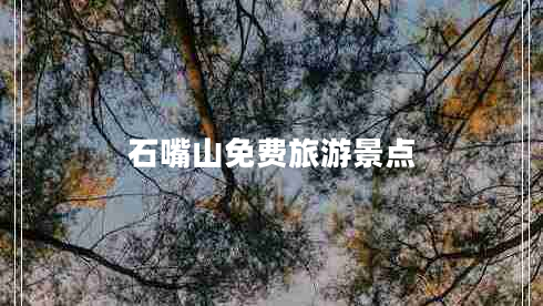 石嘴山免費(fèi)旅游景點