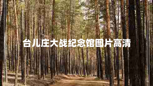臺兒莊大戰(zhàn)紀念館圖片高清