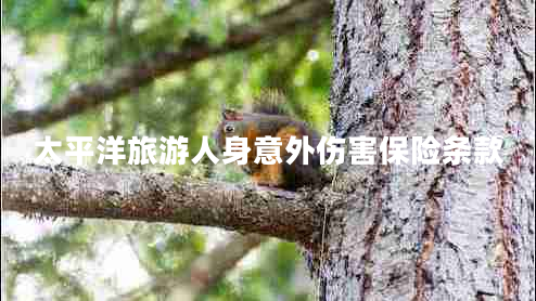 太平洋旅游人身意外傷害保險(xiǎn)條款