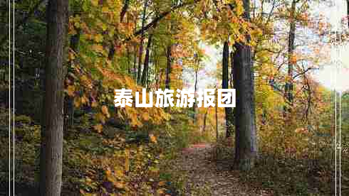 泰山旅游報團(tuán)