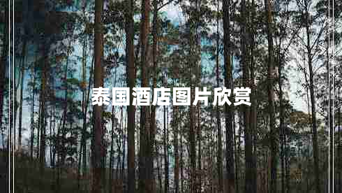 泰國(guó)酒店圖片欣賞