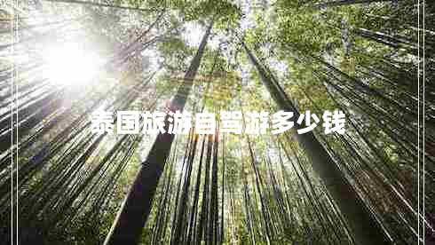 泰國旅游自駕游多少錢