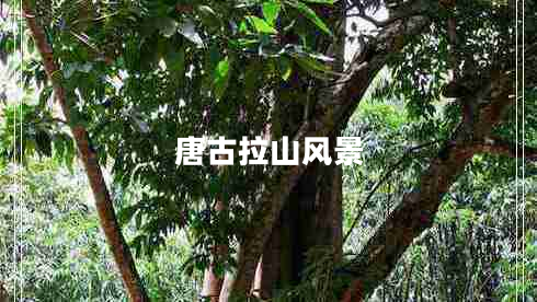 唐古拉山風景