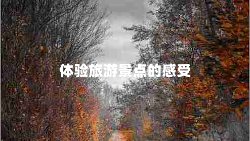 體驗(yàn)旅游景點(diǎn)的感受