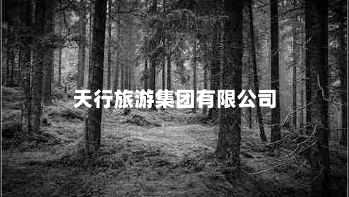天行旅游集團(tuán)有限公司