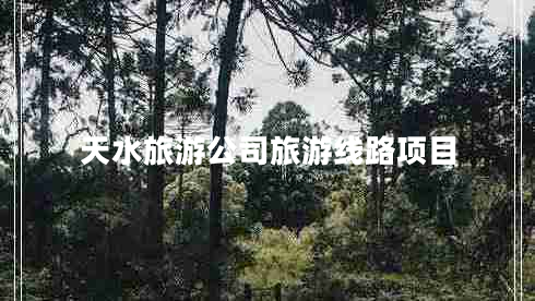 天水旅游公司旅游線路項目
