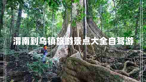 渭南到烏鎮(zhèn)旅游景點(diǎn)大全自駕游