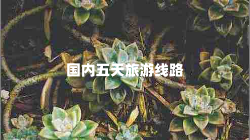 國(guó)內(nèi)五天旅游線(xiàn)路