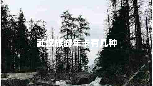 武漢旅游年卡有幾種