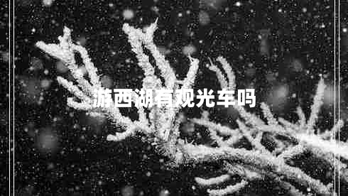 游西湖有觀光車(chē)嗎