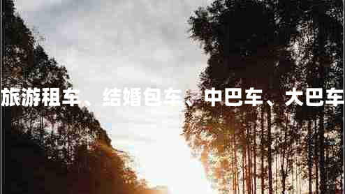 咸陽企業(yè)旅游租車、結(jié)婚包車、中巴車、大巴車、商務(wù)車