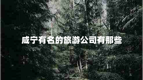咸寧有名的旅游公司有那些
