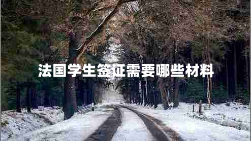 法國學生簽證需要哪些材料