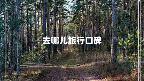 去哪兒旅行口碑 去哪兒旅行口碑