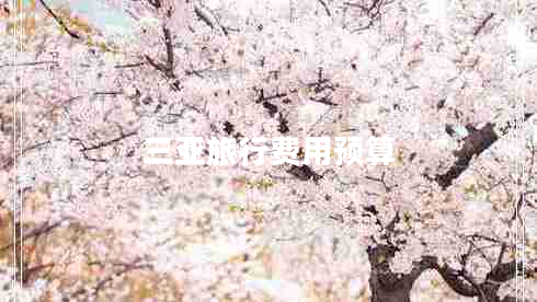 三亞旅行費用預(yù)算