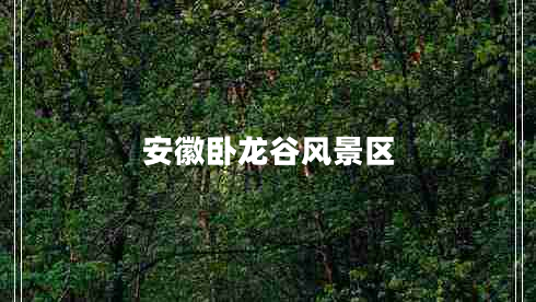 安徽臥龍谷風景區(qū)