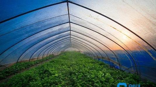 建一個(gè)二畝地的大棚多少錢