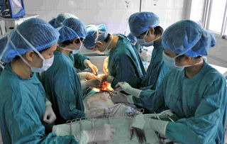 婦科惡性腫瘤的治療方法有哪些