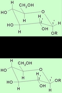 苷類化合物常用水解方法有哪些