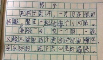 水果的作文有哪些350個(gè)字有說明性方法的