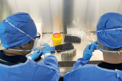 目前檢測的方法有哪些