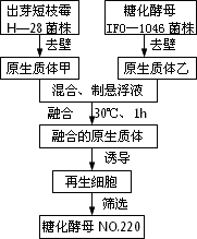 誘導(dǎo)動物細(xì)胞融合的方法有哪些