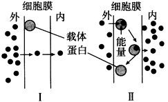 吸收推動力是什么有哪些表示方法