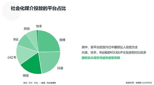 企業(yè)調(diào)查分析方法有哪些