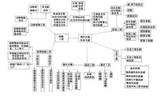 生物導(dǎo)課方法有哪些