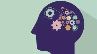 運用圖像記憶方法有哪些