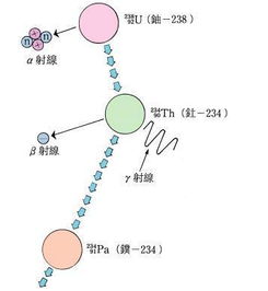 鈾含量的檢測(cè)方法有哪些