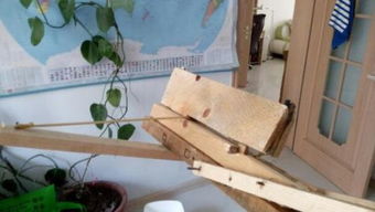科學小制作及材料和方法有哪些