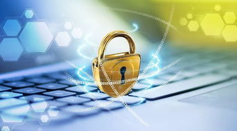 管理風(fēng)險(xiǎn)的四個(gè)方法有哪些