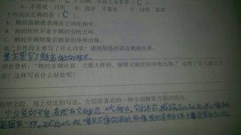 用說明表達方法有哪些