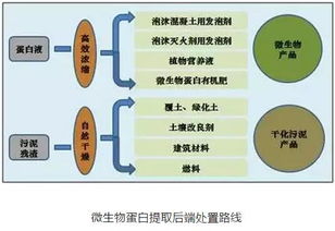 還可以用哪些方法提取蛋白質(zhì)