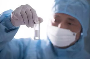 干燥的方法都有哪些