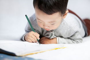 學(xué)會(huì)啦哪些寫(xiě)字的方法