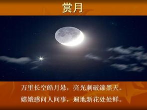 關(guān)于放棄股市的詩句