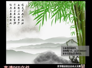 竹子和石頭的詩(shī)句,贊美竹子和石頭的詩(shī)句,描寫(xiě)竹子石頭的詩(shī)句