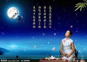 關于佳節(jié)思念的詩句