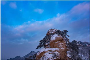 關(guān)于初雪的原創(chuàng)詩句