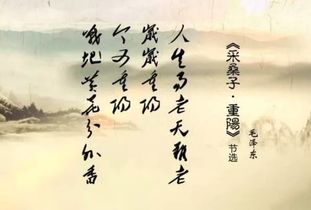 關于傳統(tǒng)節(jié)日的詩句,寫出傳統(tǒng)節(jié)日的詩句,7個傳統(tǒng)節(jié)日詩句