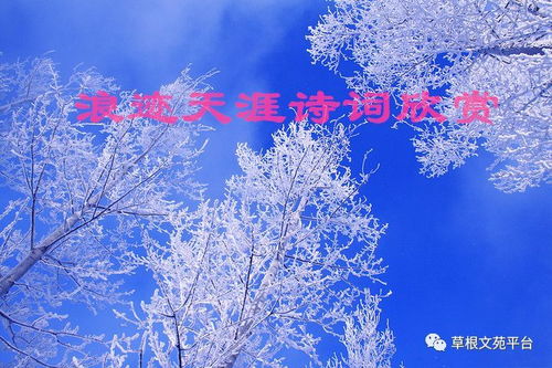 關(guān)于浪跡天涯詩(shī)句